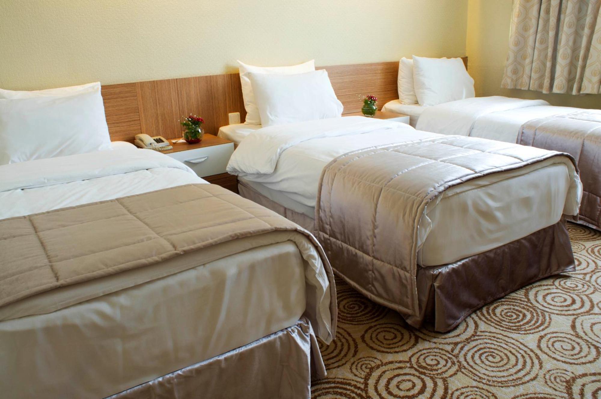 Elite Hotel Dragos Istambul Quarto foto